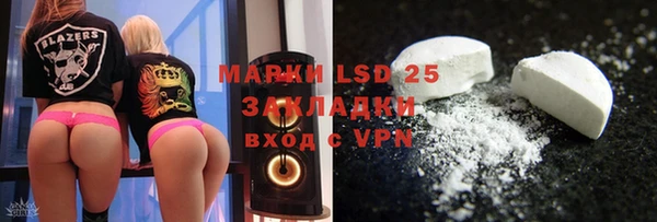 PSILOCYBIN Горнозаводск