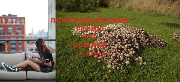 a pvp Горно-Алтайск