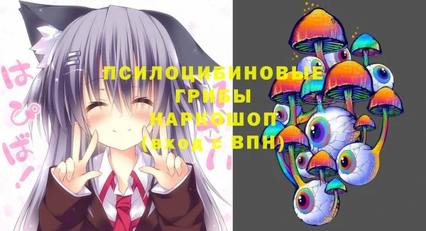 PSILOCYBIN Горнозаводск