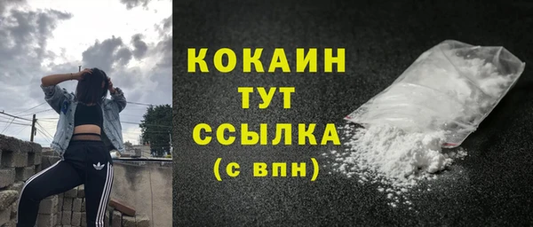 PSILOCYBIN Горнозаводск