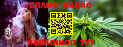 МДПВ Протвино