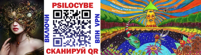 omg маркетплейс  даркнет сайт  Калуга  Галлюциногенные грибы Psilocybine cubensis 