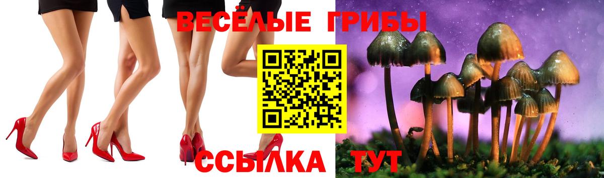 Псилоцибиновые грибы мухоморы Калуга